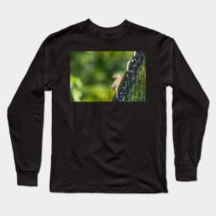 Whatcha Looking At? Long Sleeve T-Shirt